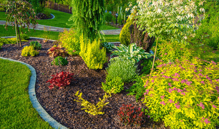 The Best Fertilizers for Lush Pink Hydrangeas