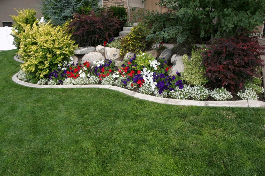 Costly Backyard Mistakes Homeowners Make